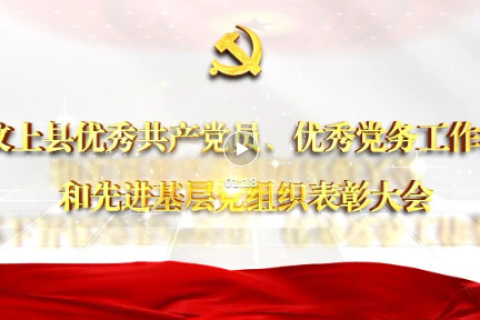 山东汶上县优秀共产党员、优秀党务工作者和先进基层党组织表彰大会召开  