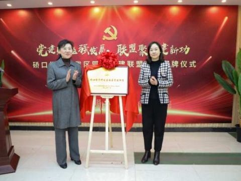 湖北省武汉市硚口经济区园区党建联盟揭牌