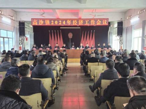 湖南洞口县高沙镇召开2024年经济工作会议