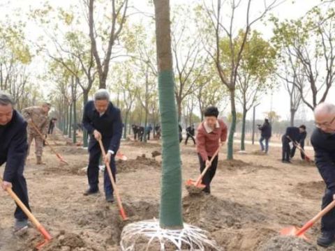 江苏省南通市市四套班子领导参加义务植树活动